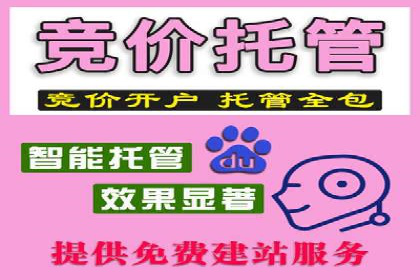 汽车行业SEM运营策略及成功案例探讨